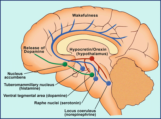 xyrem for narcolepsy without cataplexy xyrem for narcolepsy without cataplexy