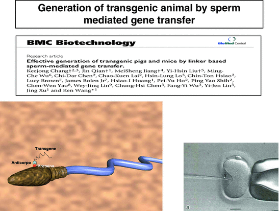 Transgenic Animals Principles Methods And Applications Springerlink