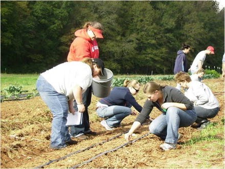 Teaching With Citizen Science It S More Than Just Putting Out