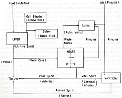 Legacies Of The Classical Era Minoa Greece And Rome A