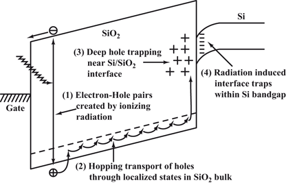 Radiation Hardened by Design | SpringerLink