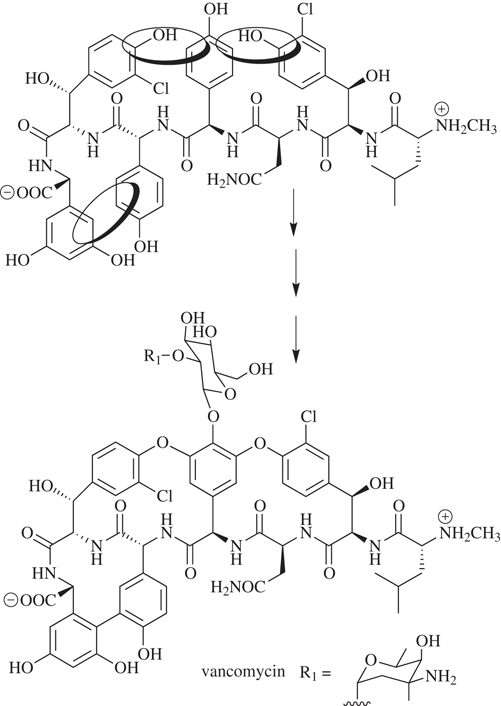 Substrate Oxidation By Cytochrome P450 Enzymes Springerlink