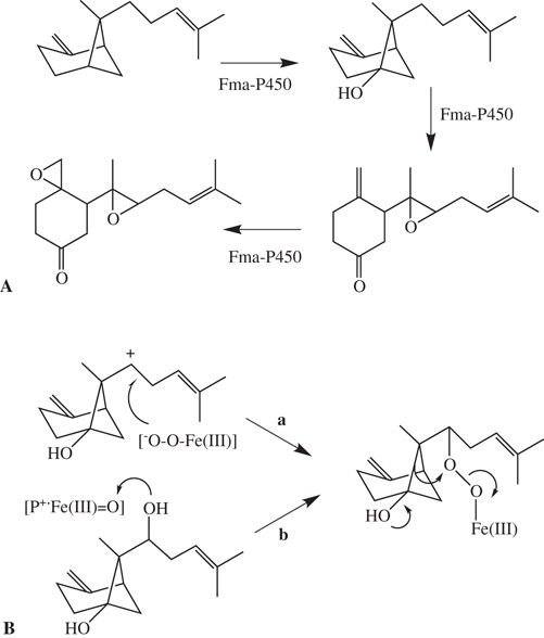 Substrate Oxidation By Cytochrome P450 Enzymes Springerlink