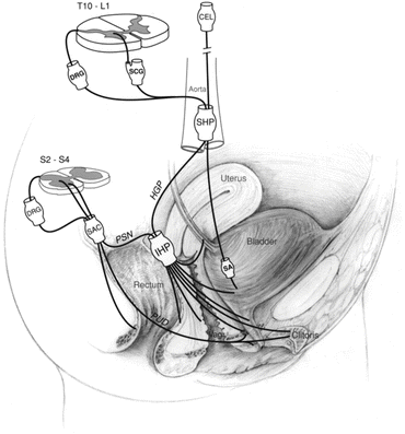 Drawing Cbt Milking Drawing Cbt Milking