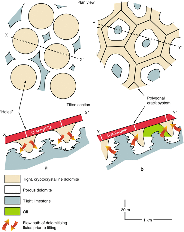 Professional development plan