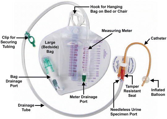 Indwelling Transurethral And Suprapubic Catheters Springerlink