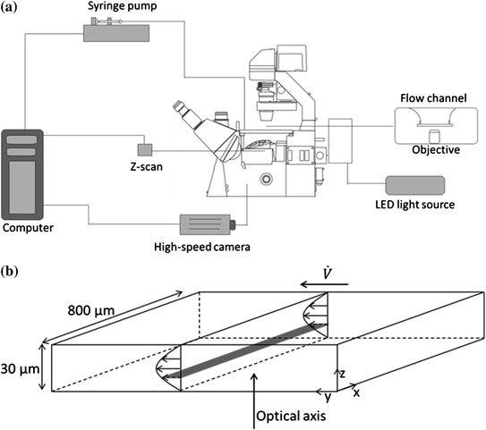 fluidization of highly concentrated