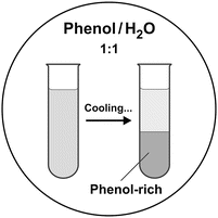Homogeneous And Heterogeneous Mixtures Springerlink