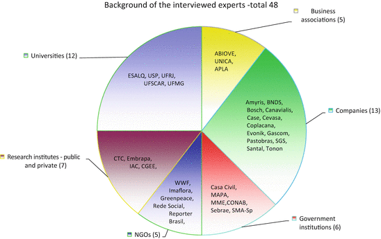 Empirical Research— setor sucroenergético in Brazil—From the Experts'  Mouths | SpringerLink