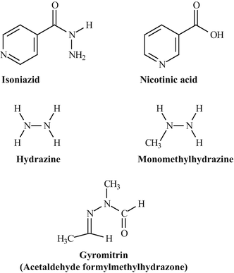 Isoniazid And Related Hydrazines Springerlink