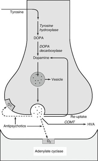 Antipsychotics Springerlink