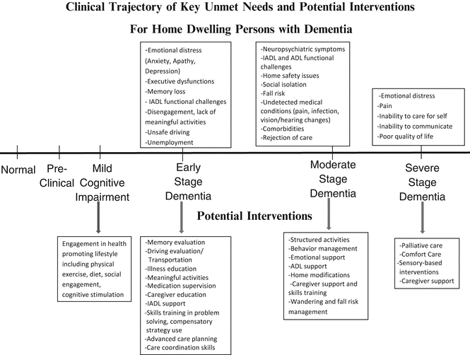 Home Based Interventions Targeting Persons With Dementia What Is The Evidence And Where Do We Go From Here Springerlink