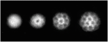 Modeling And Computation Of Bose Einstein Condensates Stationary States Nucleation Dynamics Stochasticity Springerlink