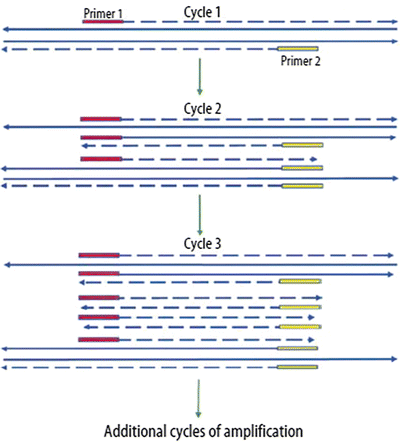 molecular pathology molecular pathology