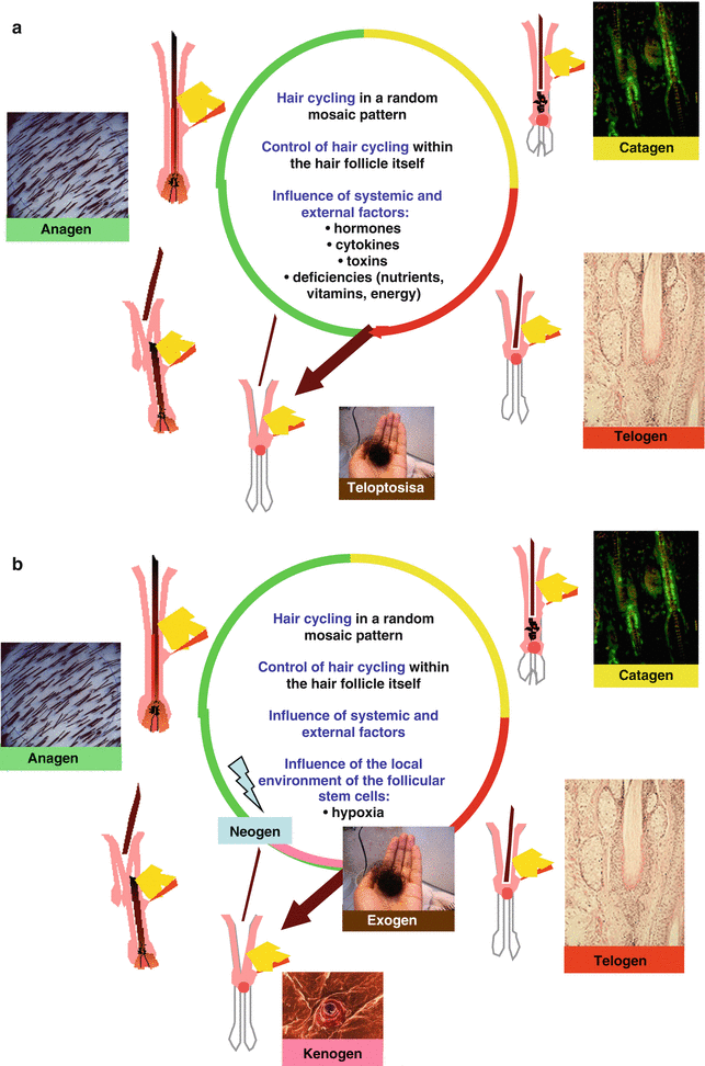 The Difficult Dermatologic Condition Springerlink