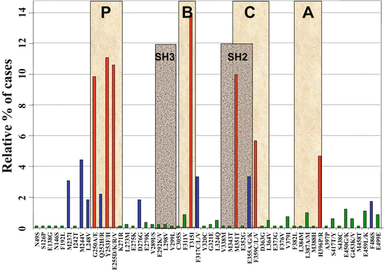 Chronic Myeloid Leukaemia Springerlink