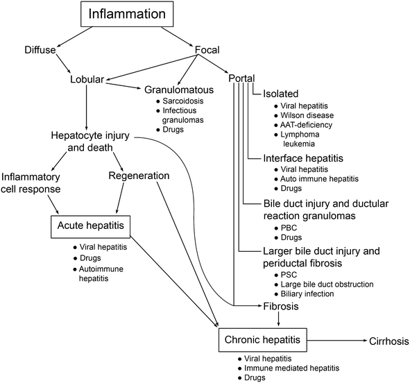 Patterns Of Liver Injury Springerlink Patterns Of Liver Injury Springerlink