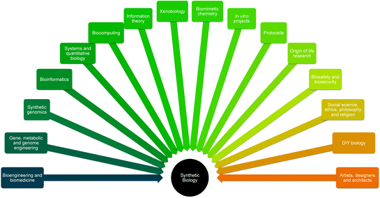 The Synthetic Nature Of Biology Springerlink