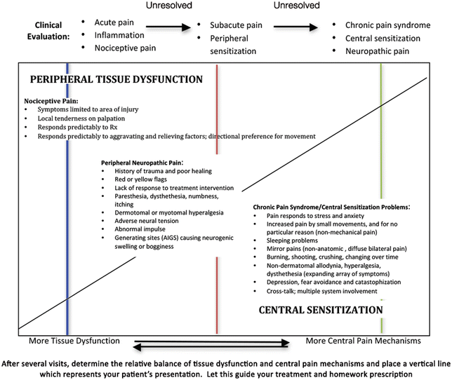 A Tale Of Two Pain States The Integrative Physical Therapy - 