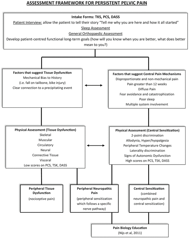 A Tale Of Two Pain States The Integrative Physical Therapy - 