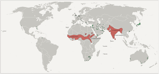 Effects Of The Recent World Invasion By Ring Necked Parakeets Psittacula Krameri Springerlink