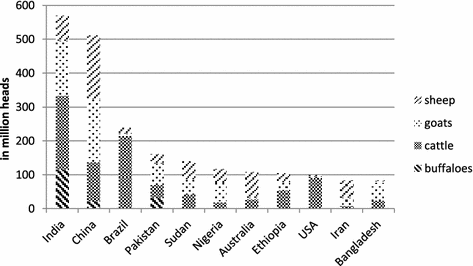 The Leather Value Chain In Bangladesh Results Of A Qualitative Analysis Springerlink The Leather Value Chain In Bangladesh Results Of A Qualitative Analysis Springerlink
