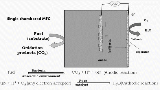 Co2 Pt Chart