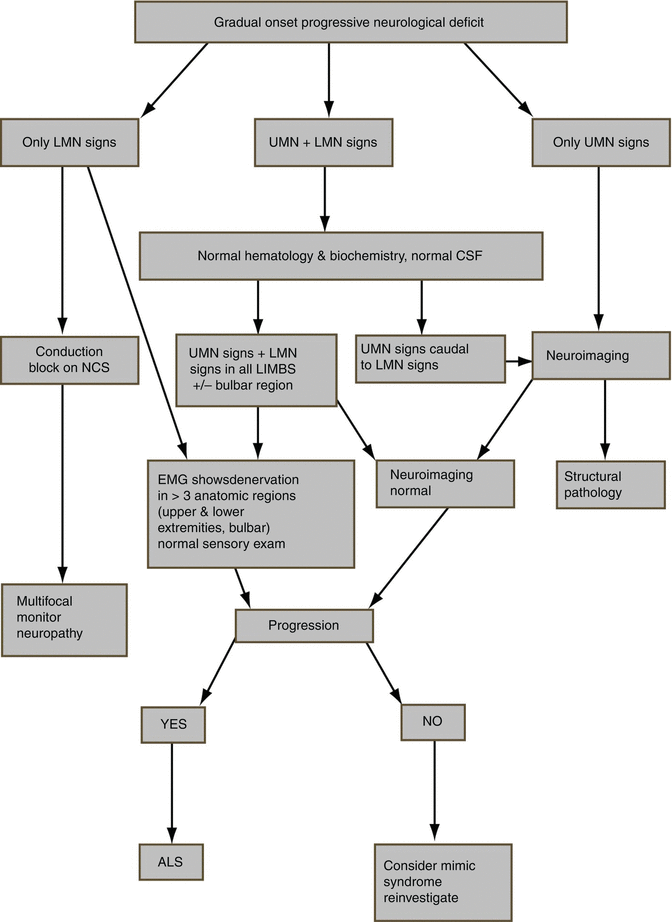 Amyotrophic Lateral Sclerosis | SpringerLink