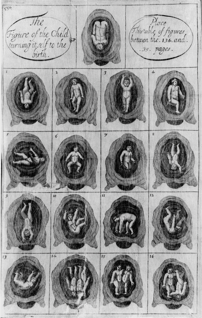 Egg maniaanne 28 online, free games online Egg maniaanne 28 online, free games online