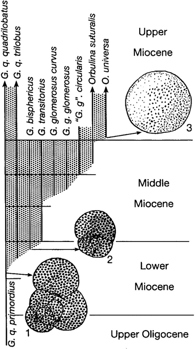 3319243020 stratigraphy a modern synthesis stratigraphy the modern synthesis springerlink 3319243020 stratigraphy a modern synthesis stratigraphy the modern synthesis springerlink