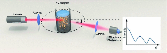 dynamic light scattering at the scripps research institute