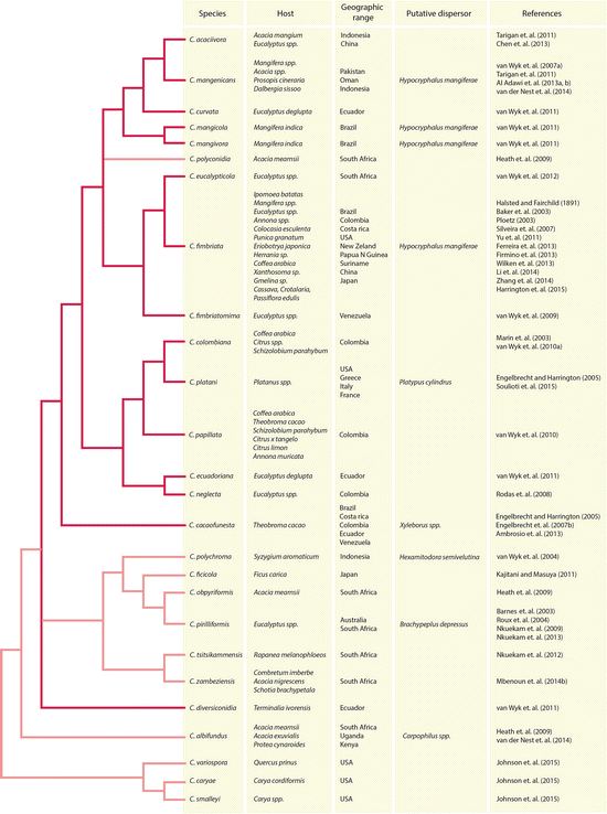 Ceratocystis Wilt Pathogens History And Biology Highlighting C