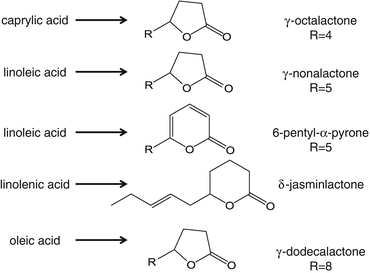 Lactone Formation In Yeast And Fungi Springerlink