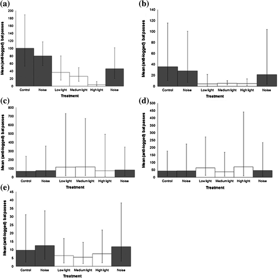 Dark Matters The Effects Of Artificial Lighting On Bats The Effects Of Artificial Lighting On