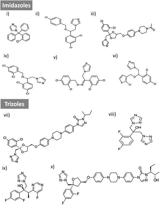 Antifungals Mechanism of Action and Drug Resistance SpringerLink