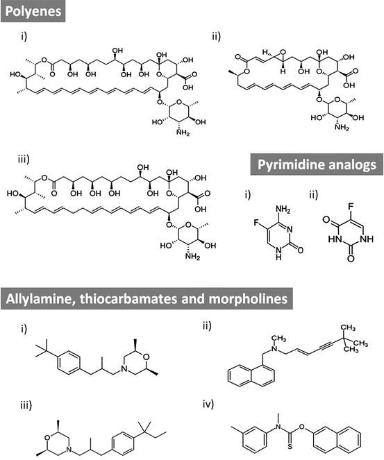 Antifungals Mechanism of Action and Drug Resistance SpringerLink