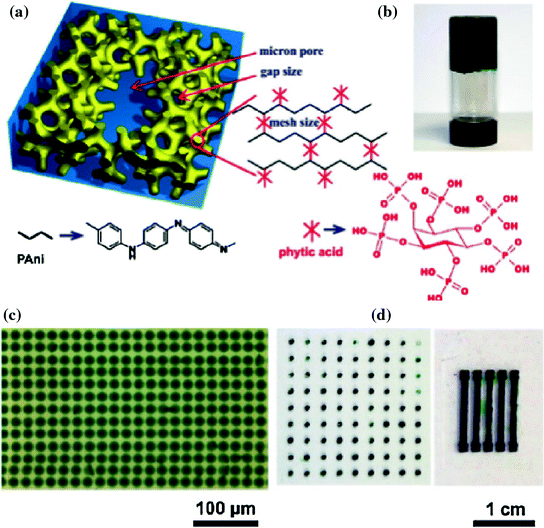 Conductive Polymer Hydrogels SpringerLink