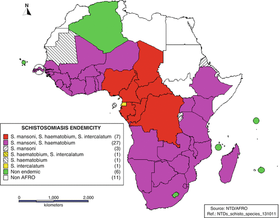 schistosomiasis ghana