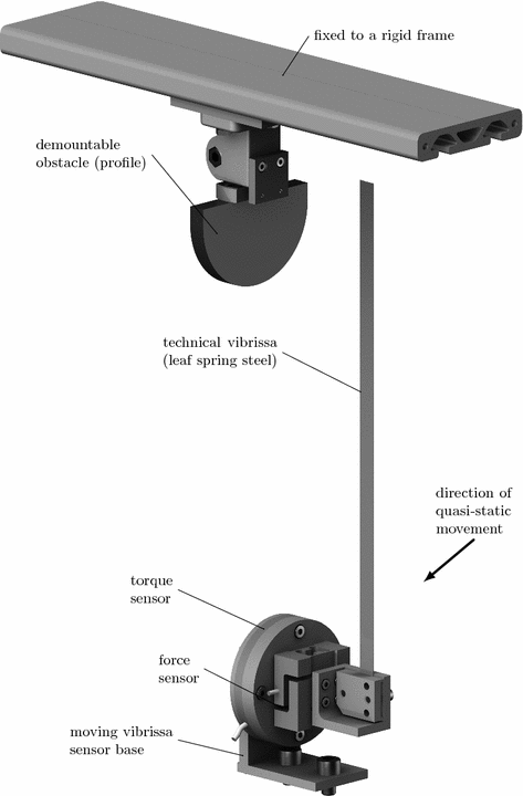 Bio Inspired Technical Vibrissae For Quasi Static Profile Scanning