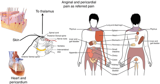 Diagnosis: History, Physical Examination and ECG ...
