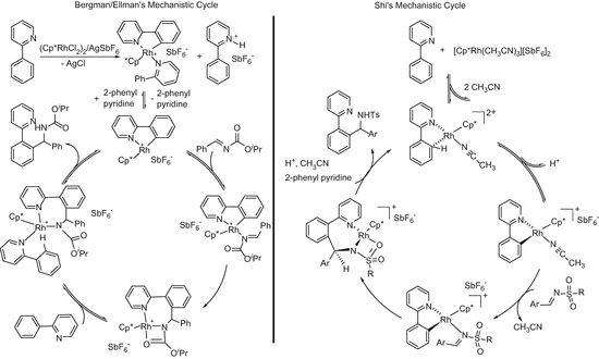 Catalytic Grignard Type Addition Of Aryl C H Bonds To C O And C N Bonds Springerlink