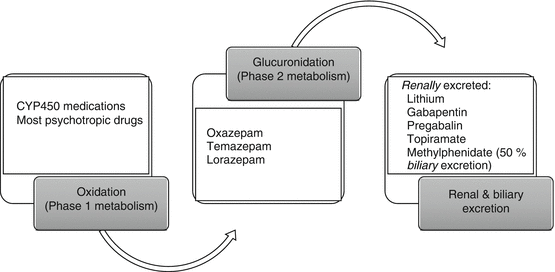 Psychopharmacology Principles Springerlink