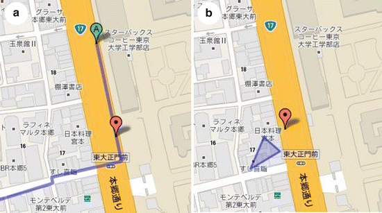 Maps In The Head And Tools In The Hand Wayfinding And Navigation In A Spatially Enabled Society Springerlink