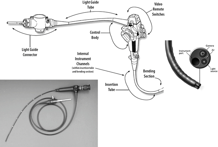 Optics In Medicine Springerlink