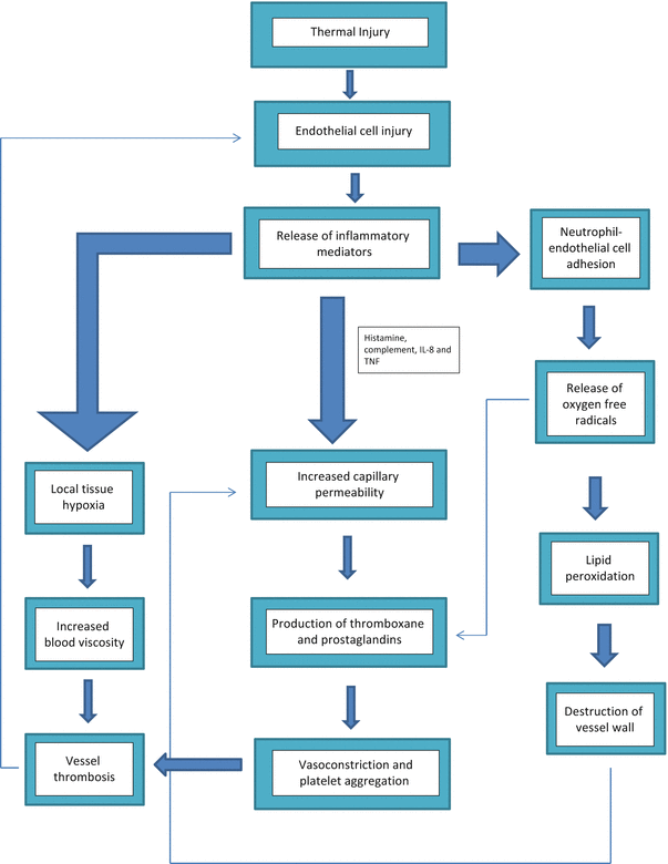 diagram of frostbite wiring block diagram frostbite springerlink diagram of fever diagram of frostbite