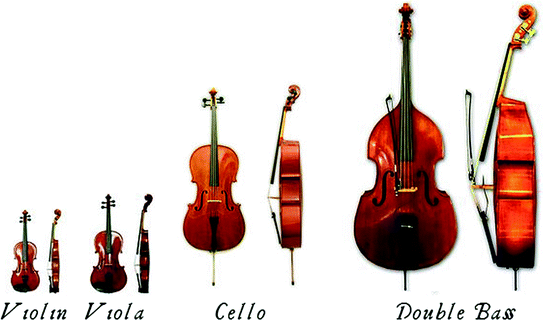 String Instruments For Classical Music