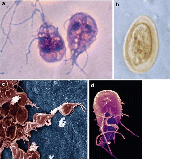 come si contrae il papilloma virus uomo