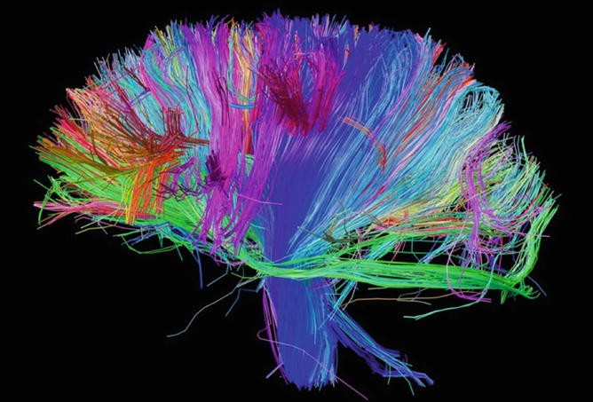 Feature Learning Architecture Taxonomy And Neuroscience Background Springerlink Feature Learning Architecture Taxonomy And Neuroscience Background Springerlink