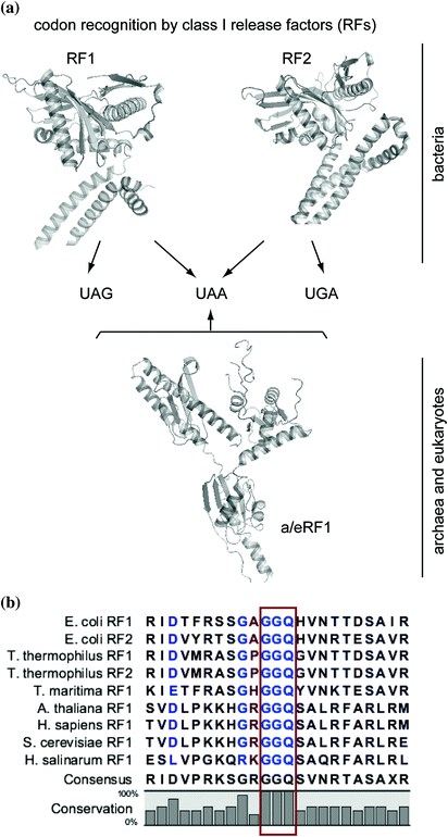 View Esl Batavia Hours PNG