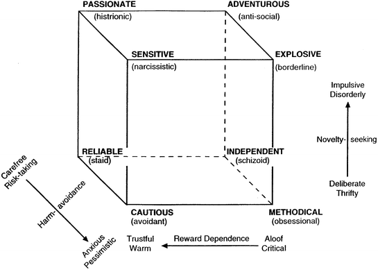 Personality Disorders | SpringerLink